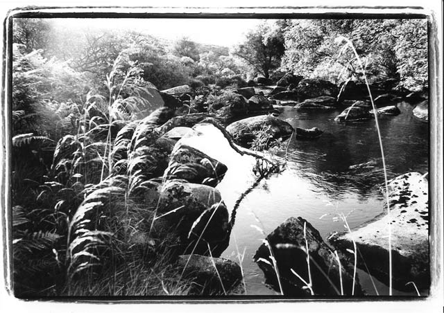 dartmoor morning stream